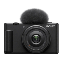 Preview: Sony ZV-1F