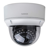 Preview: Gawker G1083PDIR