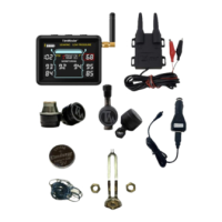Preview: TIRE MINDER i10