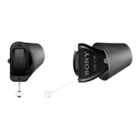 Preview: Sony CRE-C10