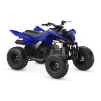 Preview: Yamaha RAPTOR 90 2022