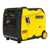Preview: Champion Global Power Equipment 200986