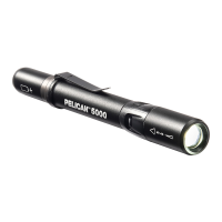 Preview: Pelican 5000