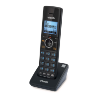 Preview: VTech DS6250