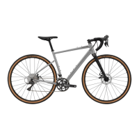 Preview: Cannondale Topstone