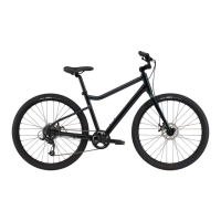 Preview: Cannondale Treadwell