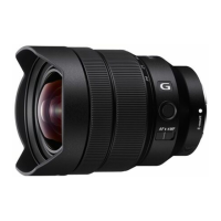 Preview: Sony SEL1224G