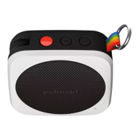 Preview: Polaroid P1
