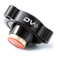 Preview: GFB DV+