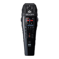 Preview: Zoom MicTrak M4