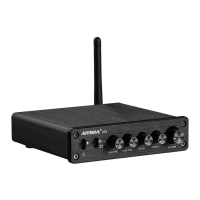 Preview: AIYIMA AUDIO A03
