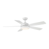 Fan Logo