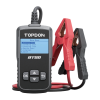Preview: Topdon BT50