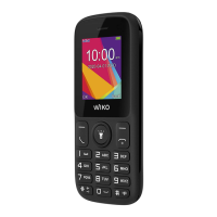 Preview: Wiko F100