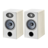 Preview: Focal VESTIA N1