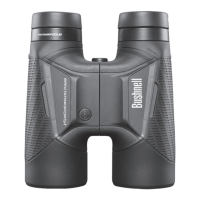 Preview: Bushnell Spectator Sport Series