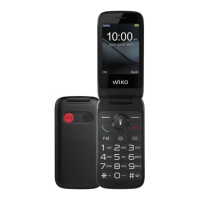 Preview: Wiko F300