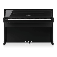 Preview: Kawai CA901