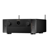 Preview: Marantz AV 10