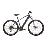 Preview: VelectriX Ascent