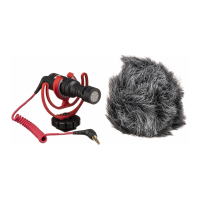 Preview: RODE Microphones VideoMicro