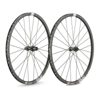 Preview: DT SWISS SPLINE WHEEL