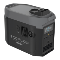 Preview: Smart Generator Dual Fuel