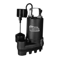Preview: Basement Watchdog SI-33V