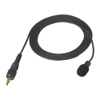 Preview: Sony Electret