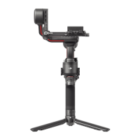 Preview: dji RS 3
