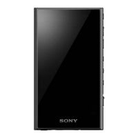 Preview: Sony NW-A306