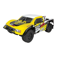 Preview: Associated Electrics PRO4 SC10
