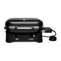 Preview: Weber LUMIN