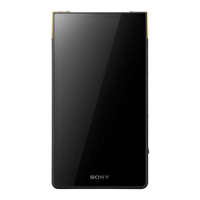 Preview: Sony NW-ZX707