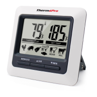 Preview: ThermoPro TP-04