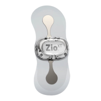 Preview: Zio XT