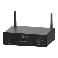 Preview: Arylic B50
