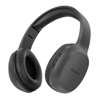 Preview: Maxell Bass 13