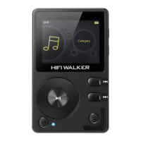 Preview: HIFI WALKER H2