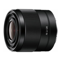 Preview: Sony FE 28mm F2