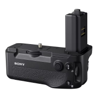 Preview: Sony VG-C4EM