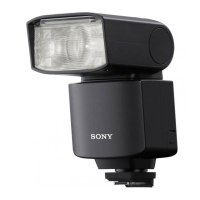 Preview: Sony HVL-F46RM