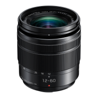 Preview: Panasonic 12-60mm f/3.5-5.6