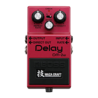 Preview: Boss WAZA CRAFT Delay