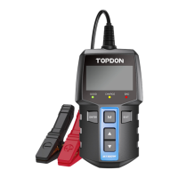 Preview: Topdon BT100W