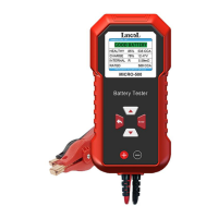 Preview: Lancol MICRO-500