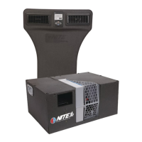 Preview: Bergstrom NITE Phoenix