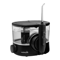 Preview: Waterpik ION Water Flosser