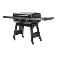 Preview: Traeger FLATROCK