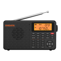 Preview: XHDATA D-109